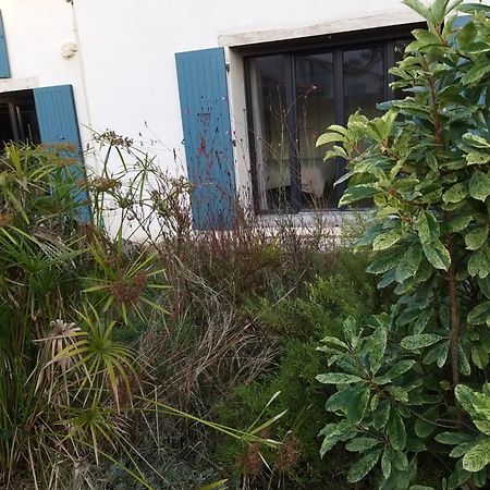 Sucre Sale Hotel Le Port-des-Barques Luaran gambar